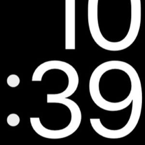 Meet your Posher, Brady